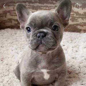 Meet your Posher, Chantelle